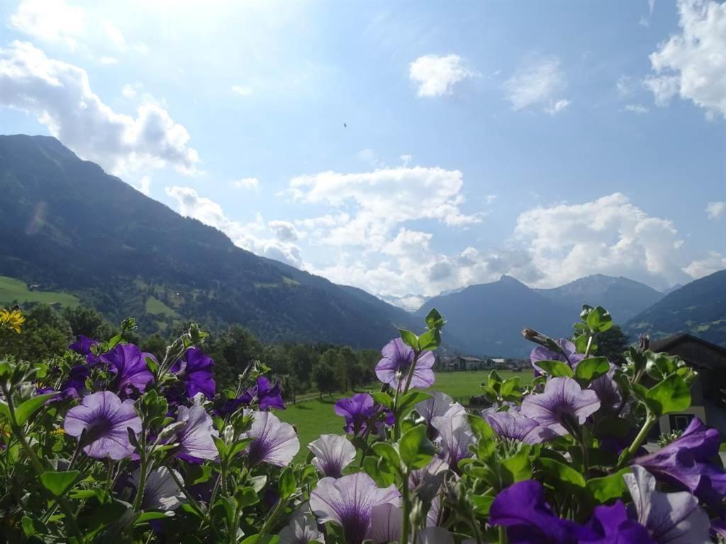 Landhaus Schafflinger Appartement Bad Hofgastein Buitenkant foto